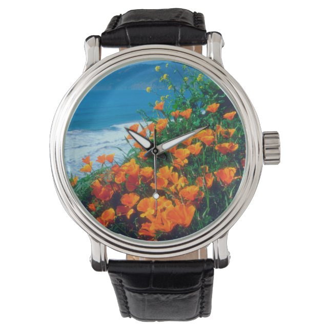 Poppies along the Pacific Coast near Big Sur Watch (Front)