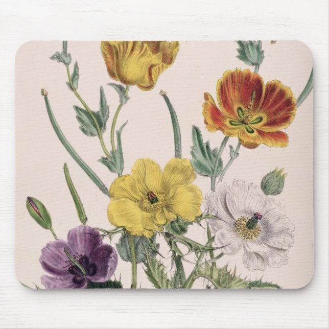 Poppies and Anemones Mouse Pad (Front)