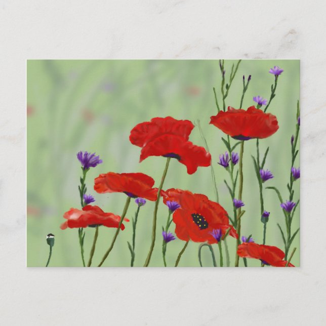 Poppies and Bachelor Buttons Postcard (Front)