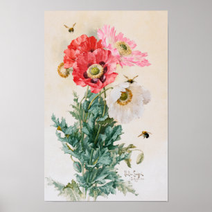 Poppies and Bees by Paul de Longpré Poster