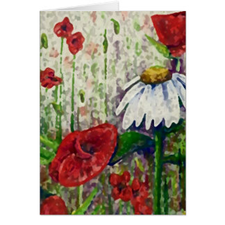 Poppies and Daisies