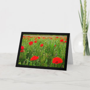 Poppies and Wildflowers Card