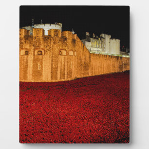 Poppies at the Tower of London - Night Panorama Plaque
