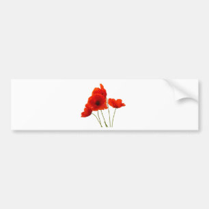 poppies bumper sticker