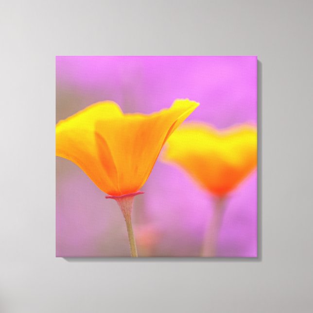 Poppies Canvas Print (Front)