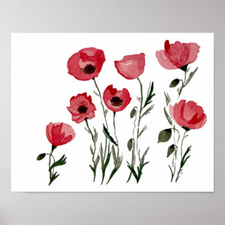 Poppies- Floral Print
