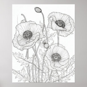 Poppies Flowers Colouring Poster for Adults