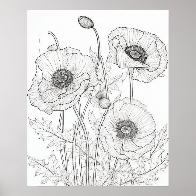 Poppies Flowers Colouring Poster for Adults (Front)