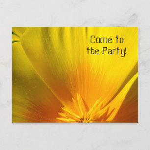 Poppies Flowers Invitations Come to the Party!