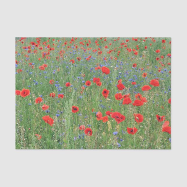 Poppies in a Cornfield Tissue Paper (Front)