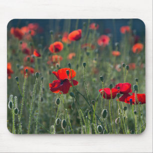 Poppies in a Field Mouse Pad