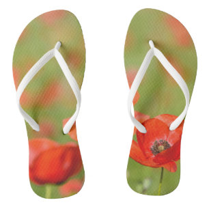 Poppies in a poppy field flip-flops thongs