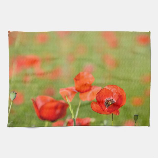 Poppies in a poppy field kitchen towel (Horizontal)