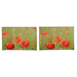 Poppies in a poppy field pillow case