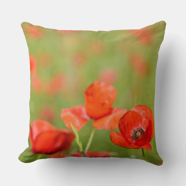 Poppies in a poppy field throw pillow (Front)