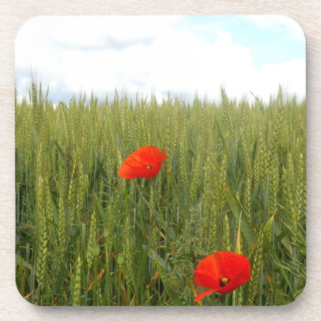 Poppies in a Wheat Field Hard Plastic Coaster (Front)