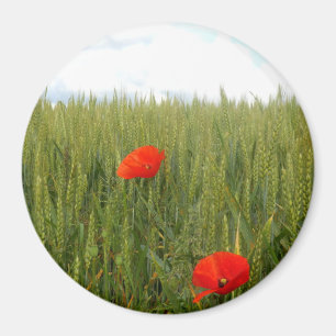 Poppies in a Wheat Field Large Round Magnet