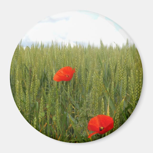 Poppies in a Wheat Field Large Round Magnet (Front)
