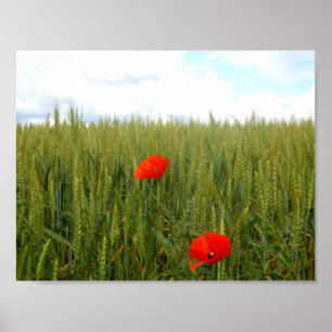 Poppies in a Wheat Field Value Poster Paper