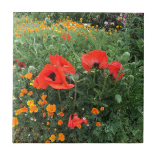 Poppies in an English Garden  Ceramic Tile