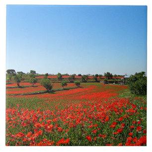 Poppies in Bloom Ceramic Tile