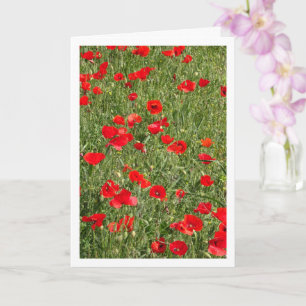 Poppies in Field Card
