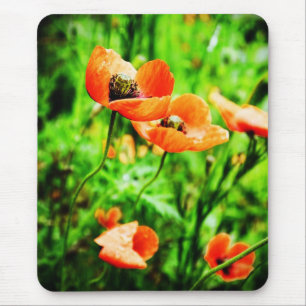 Poppies in New Zealand Mousepad