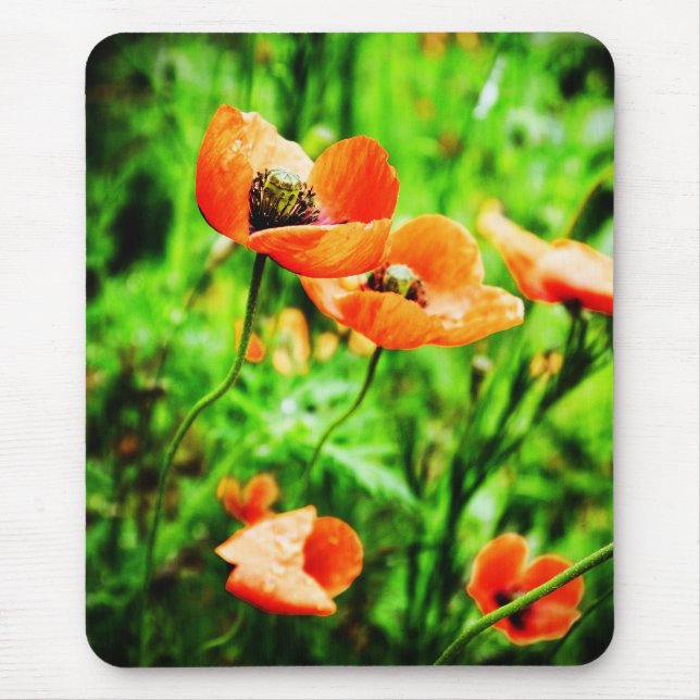 Poppies in New Zealand Mousepad (Front)
