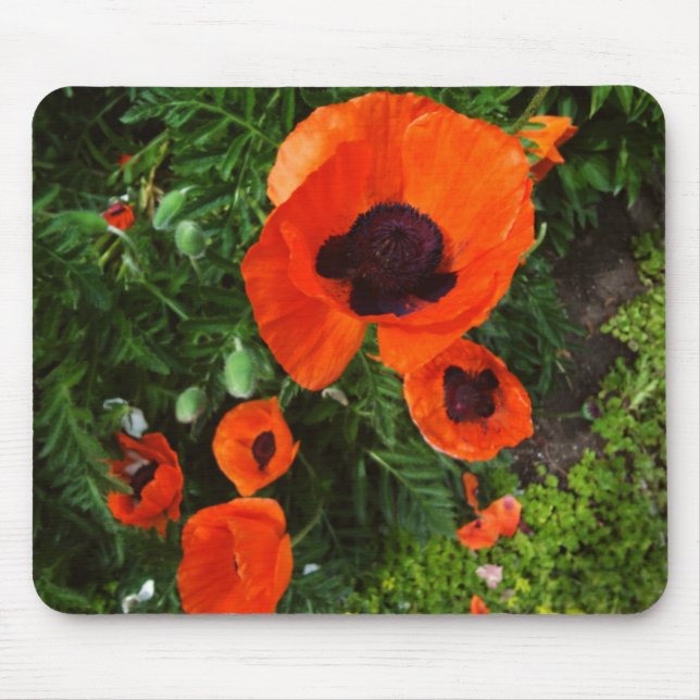 Poppies Mousepad (Front)