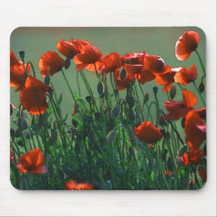 Poppies no. 3 Mousepad