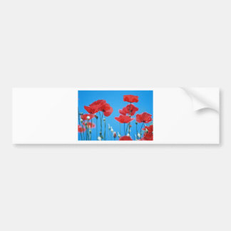 Poppies of Provence Bumper Sticker