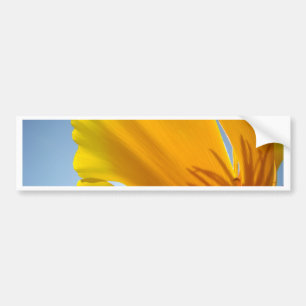 POPPIES Orange Poppy Flowers 13 Cards Gifts Mugs Bumper Sticker