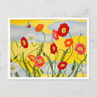 Poppies Postcard