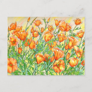 Poppies Postcard