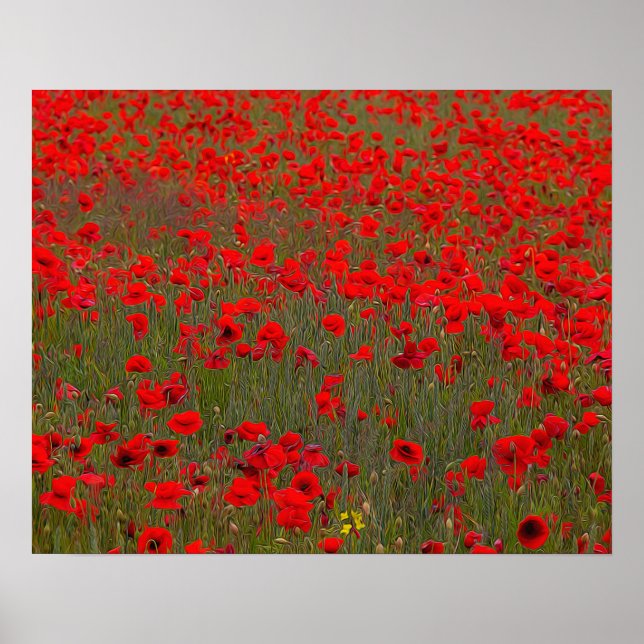 Poppies Poster/Print Poster (Front)