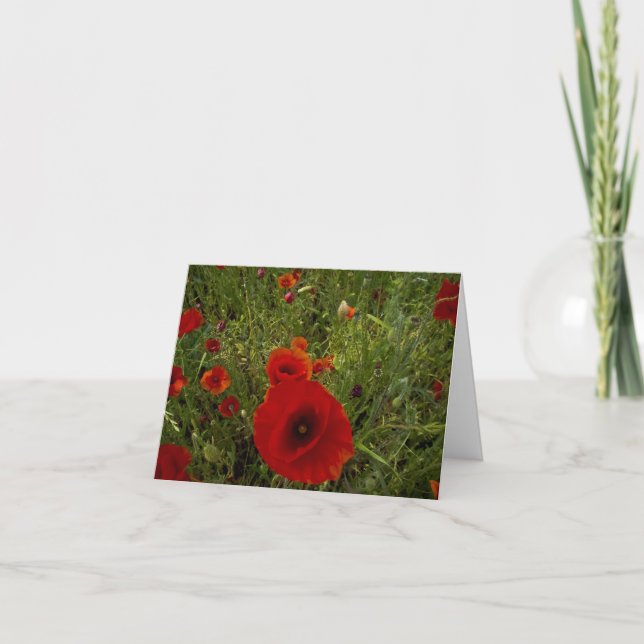 Poppies Thank You Card (Front)