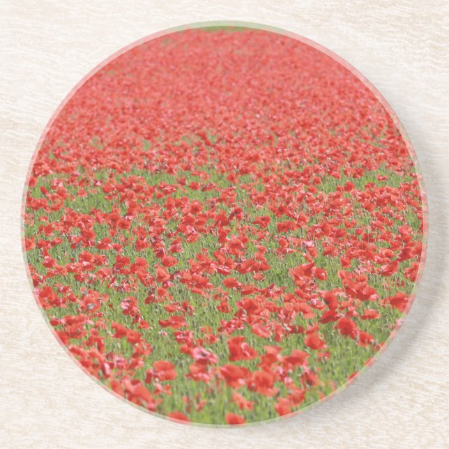 Poppies - thousands! coaster (Front)