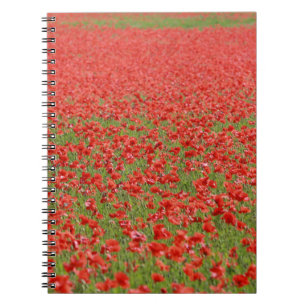 Poppies - thousands! notebook