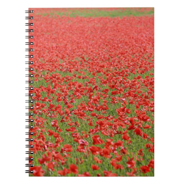 Poppies - thousands! notebook (Front)