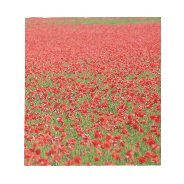 Poppies - thousands! notepad (Front)