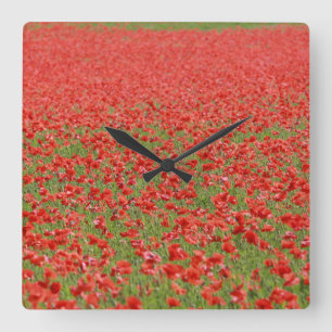 Poppies - thousands! square wall clock