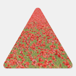 Poppies - thousands! triangle sticker
