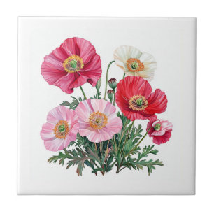 Poppies Tile