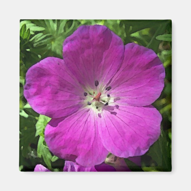Poppin Pink Magnet (Front)