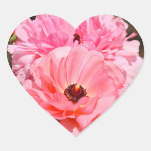 Popping in Pink Heart Sticker