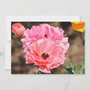 Popping in Pink Invitation
