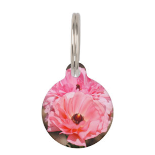 Popping in Pink Pet Tag
