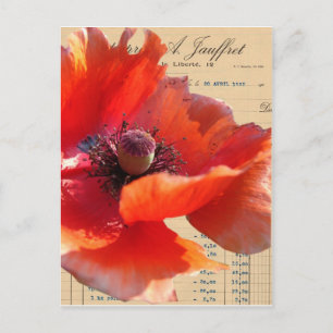 Poppy and Ephemera Digital Art Postcard
