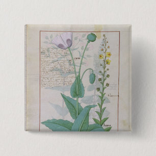 Poppy and Figwort 15 Cm Square Badge