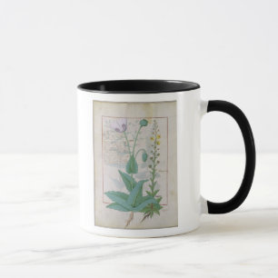 Poppy and Figwort Mug